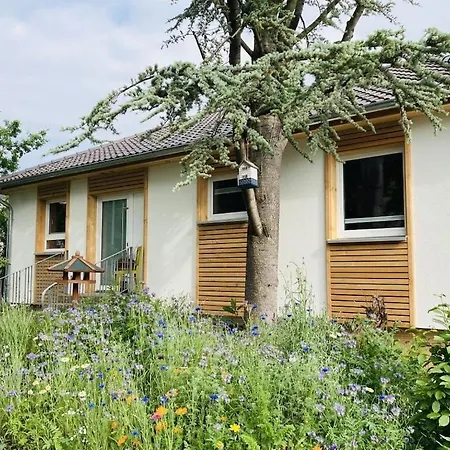 Vakantiehuis With 4 Bedrooms